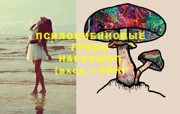 прущий лед Усмань